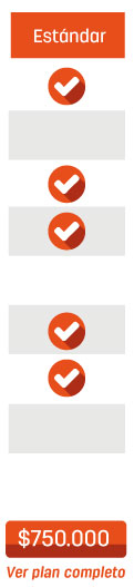 Caracteristicas plan Web estandar